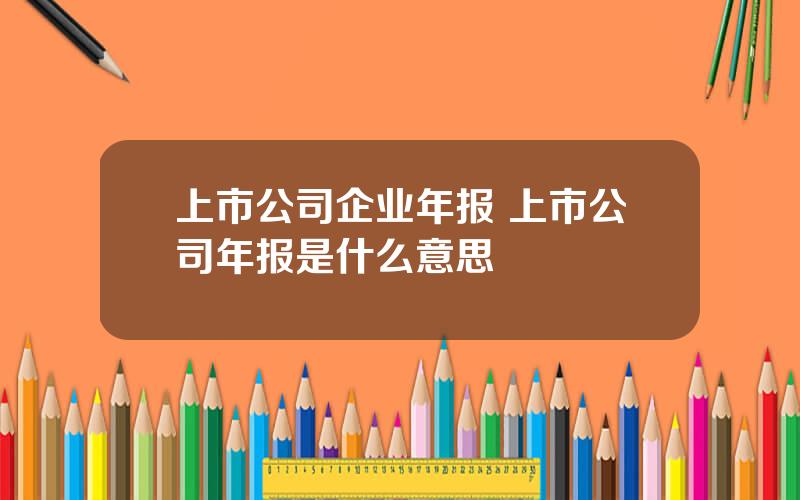 上市公司企业年报 上市公司年报是什么意思